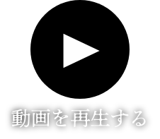 動画を再生する