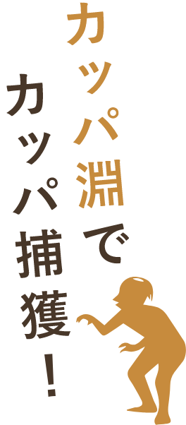 カッパ淵でカッパ捕獲！